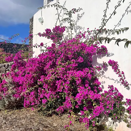 Casa Do Becco بيت للعطل *