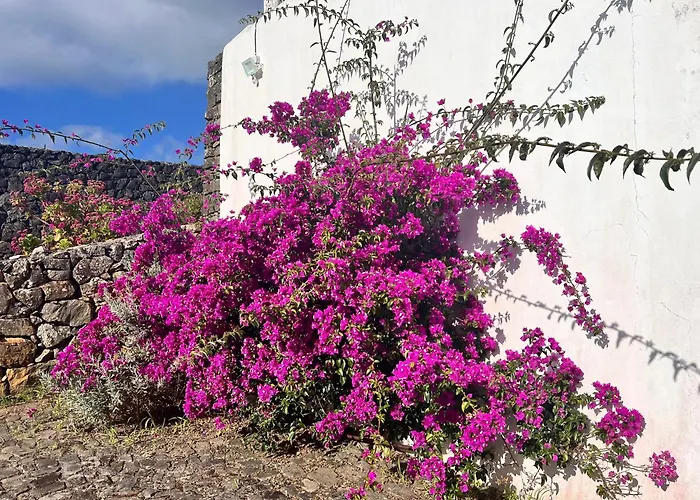 Casa Do Becco Dom wakacyjny *